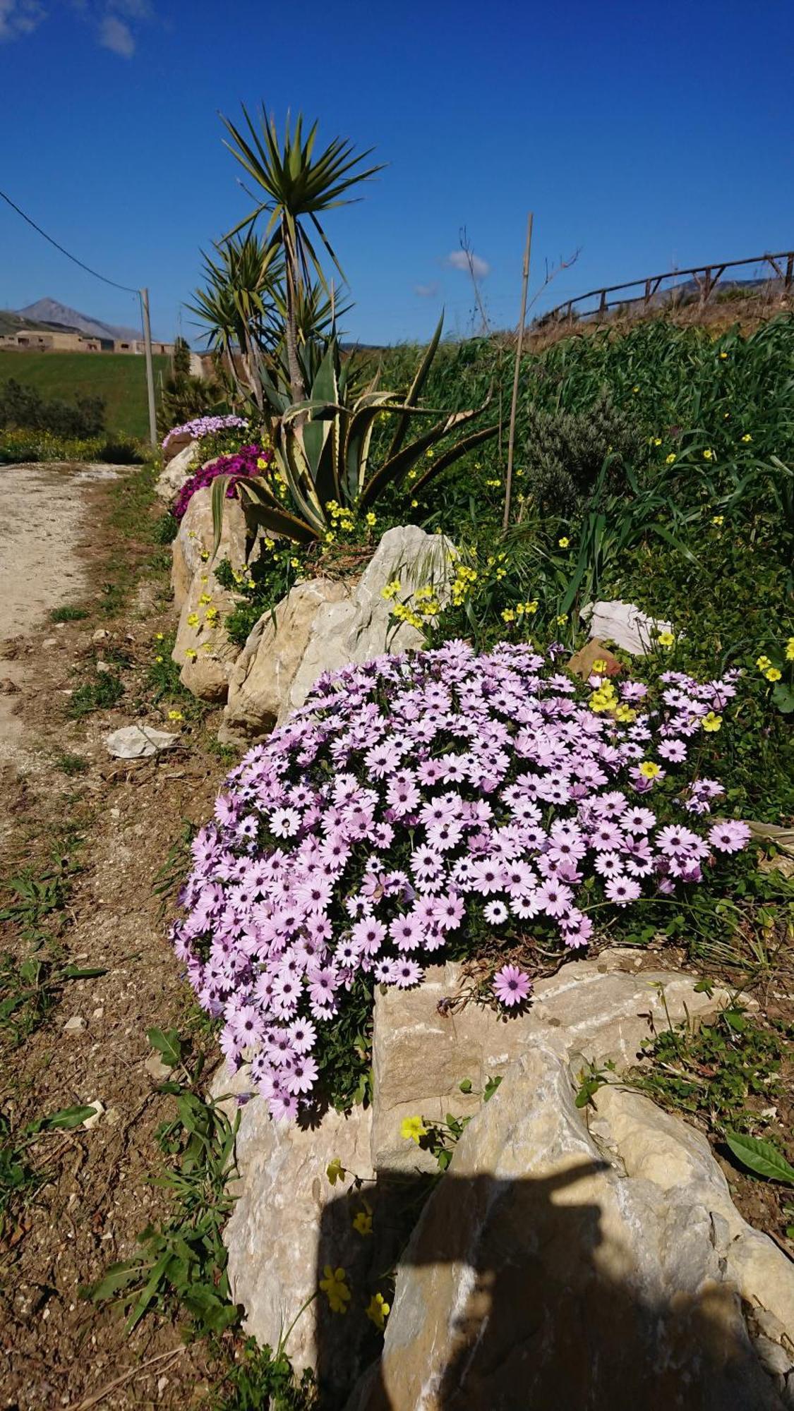 Helimos Bed&Breakfast Segesta Temple-Castellammare Calatafimi Exterior foto